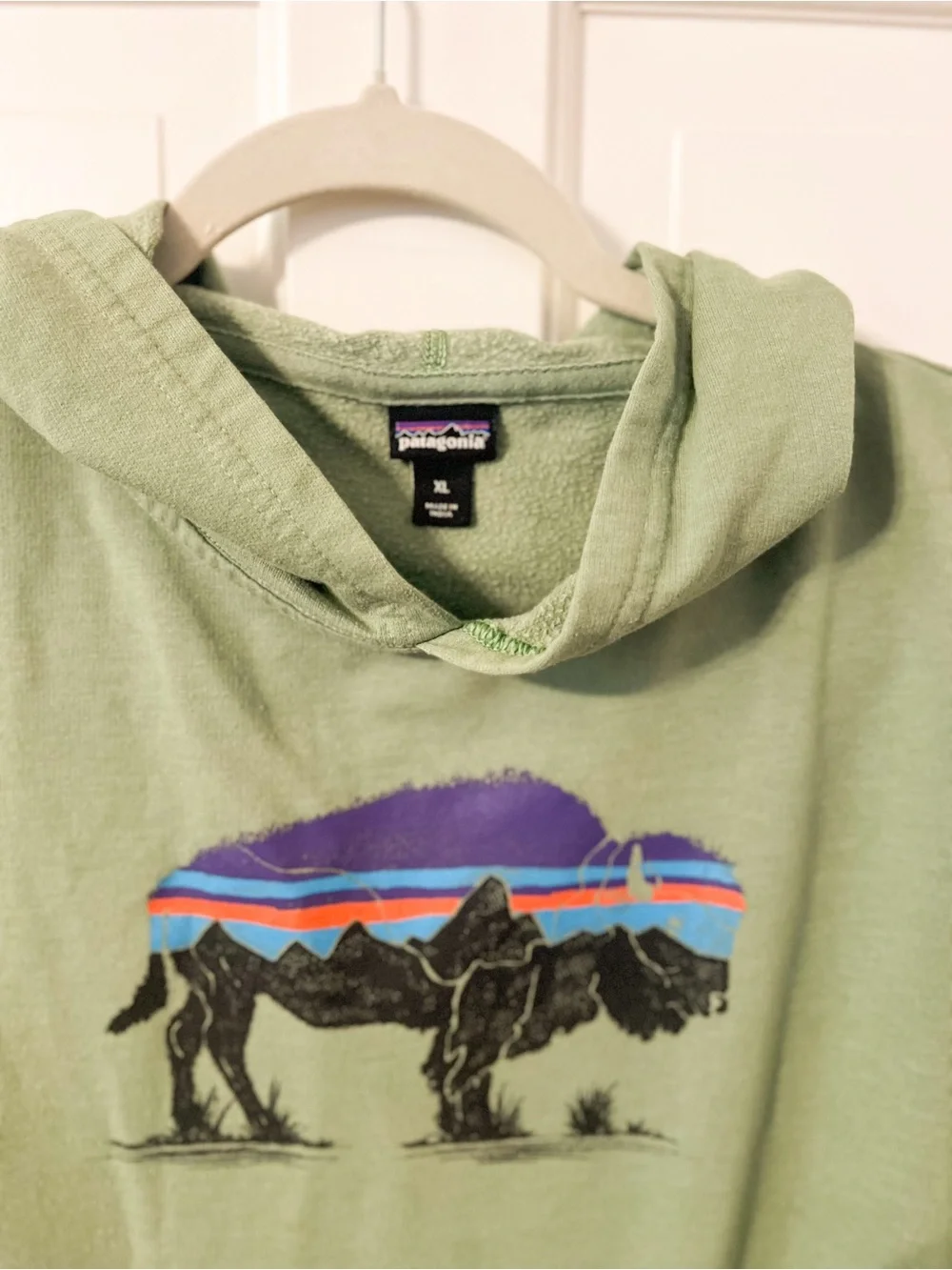 Green Boys Buffalo Patagonia hoodie